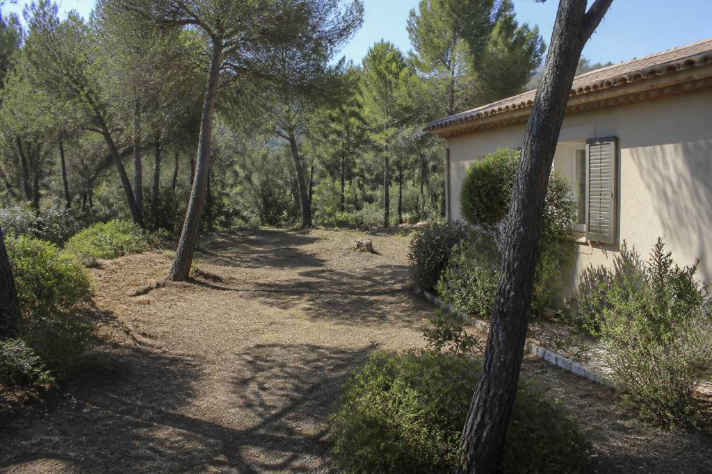 Débroussaillage autour des habitations : obligations, techniques et prévention des incendies