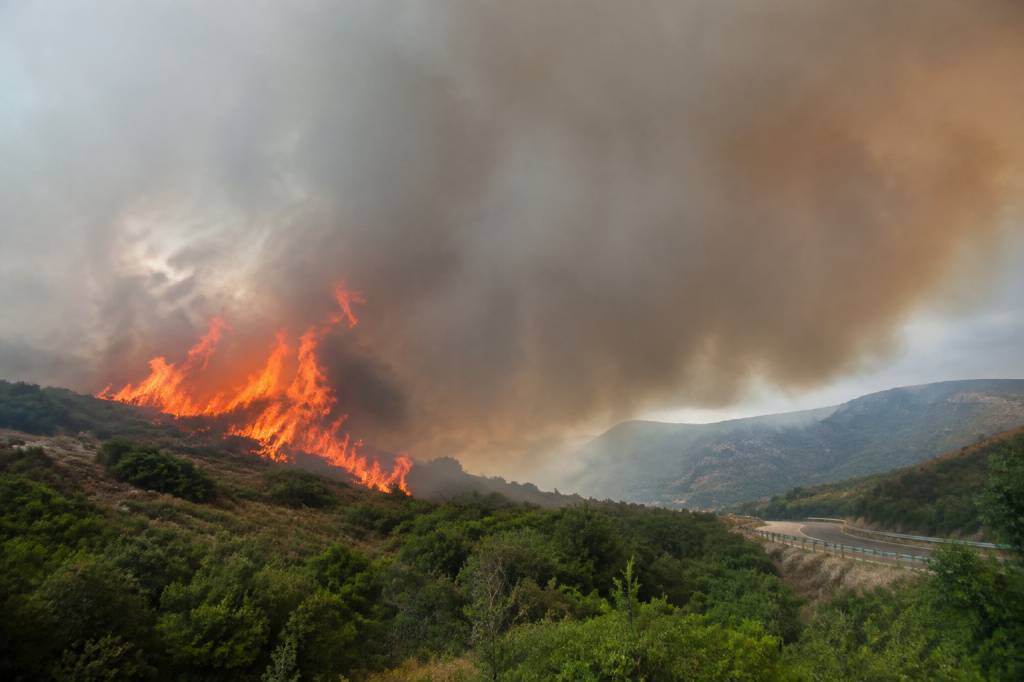 Incendie Corse aujourd'hui : dernières informations et risques en cours