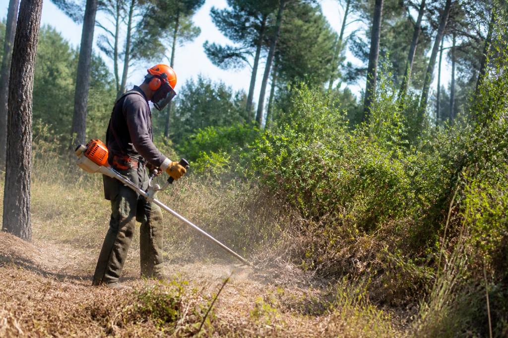 Débroussaillement : obligations, méthodes et prévention des incendies